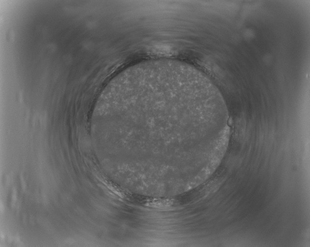 X0000078861201200612041923