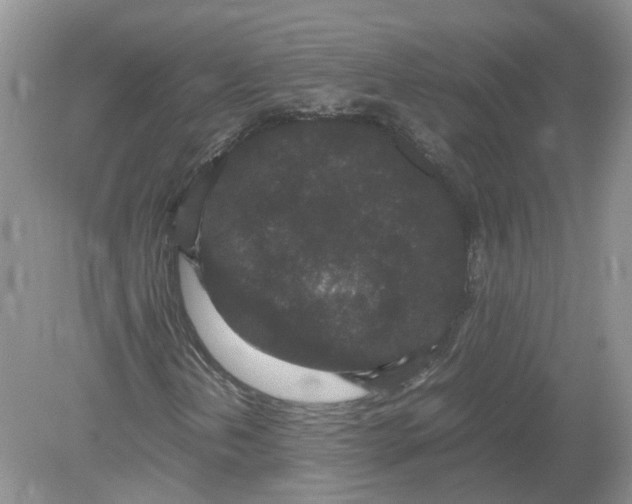 X0000078861202200612041923