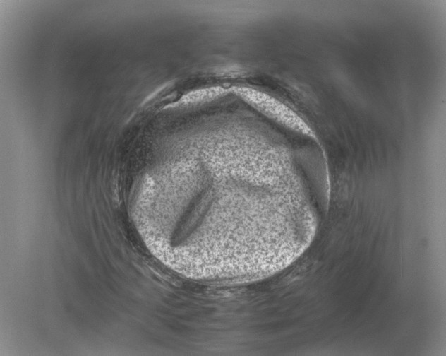 X0000078861205200612041923