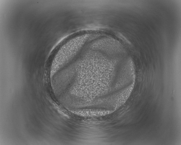 X0000078861208200612041923