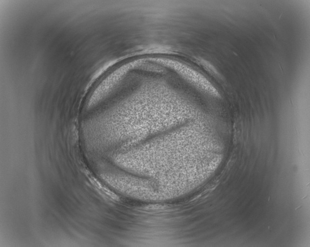 X0000078861212200612041923