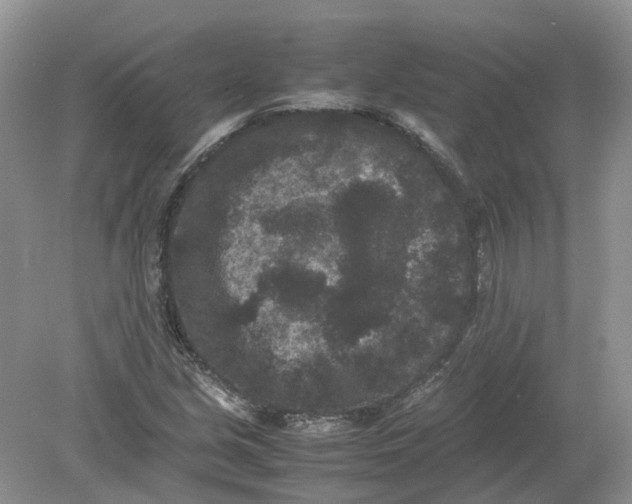 X0000078861213200612041923