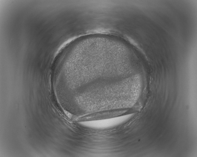 X0000078861214200612041923