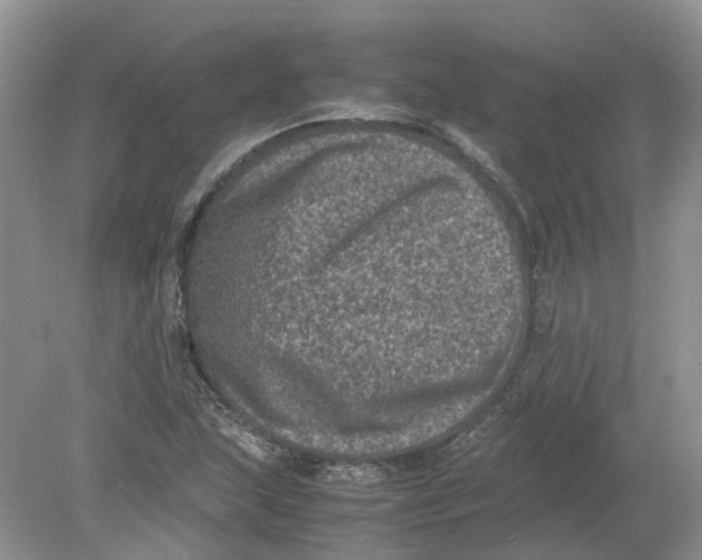 X0000078861215200612041923