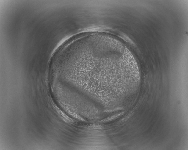 X0000078861216200612041923