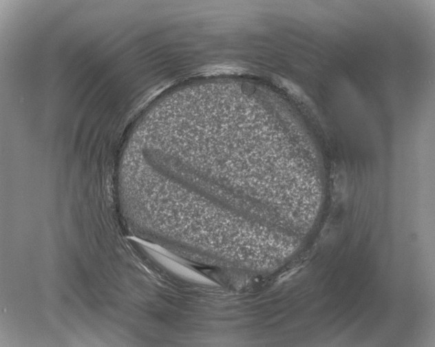 X0000078861217200612041923