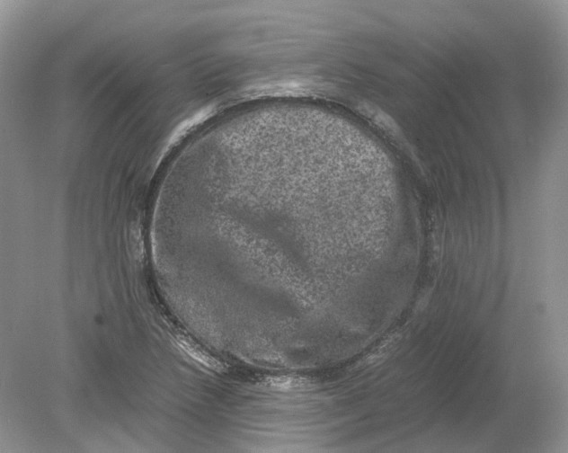 X0000078861218200612041923