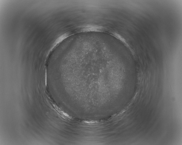 X0000078861219200612041923