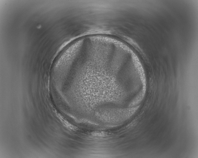 X0000078861220200612041923