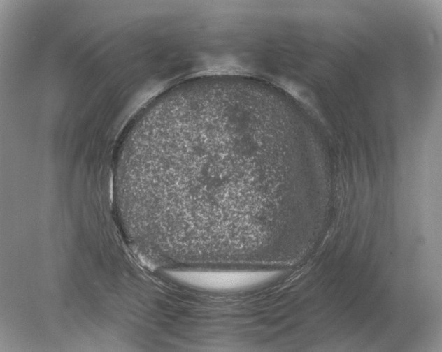 X0000078861221200612041923