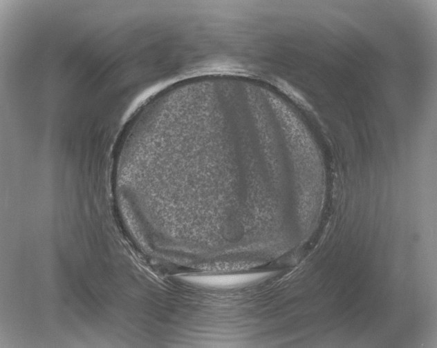 X0000078861222200612041923