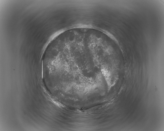 X0000078861223200612041923