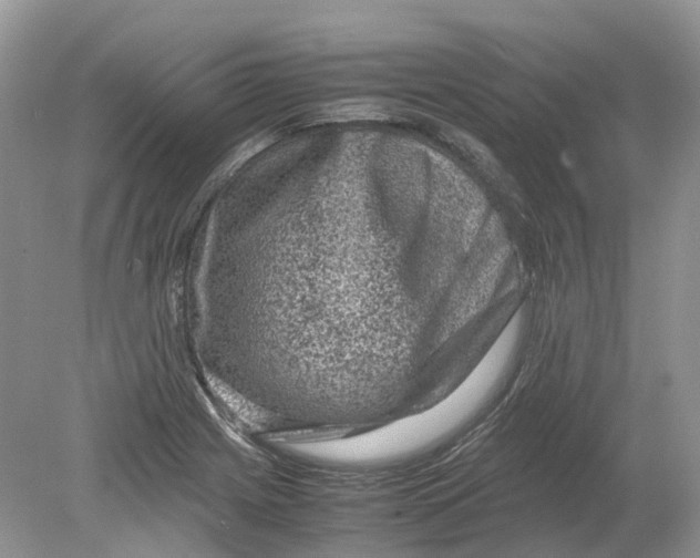 X0000078861225200612041923