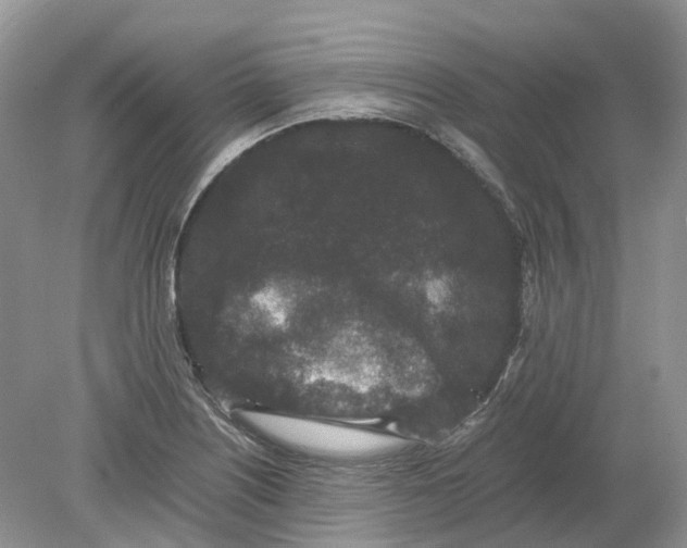 X0000078861226200612041923