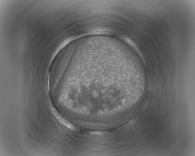 X0000078861227200612041923