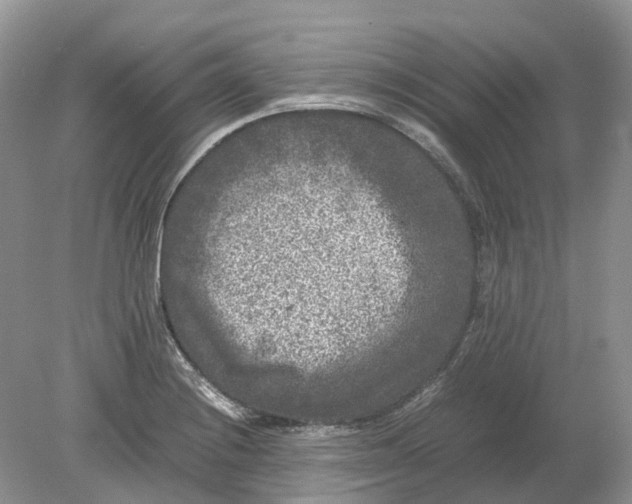 X0000078861228200612041923