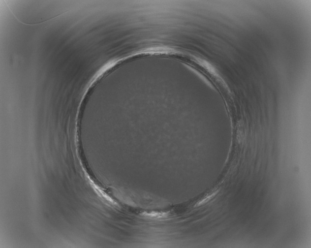 X0000078861229200612041923