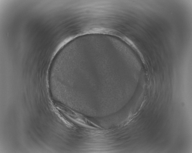 X0000078861230200612041923