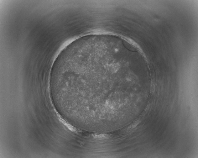 X0000078861231200612041923