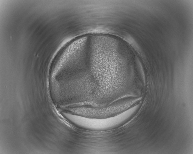 X0000078861232200612041924