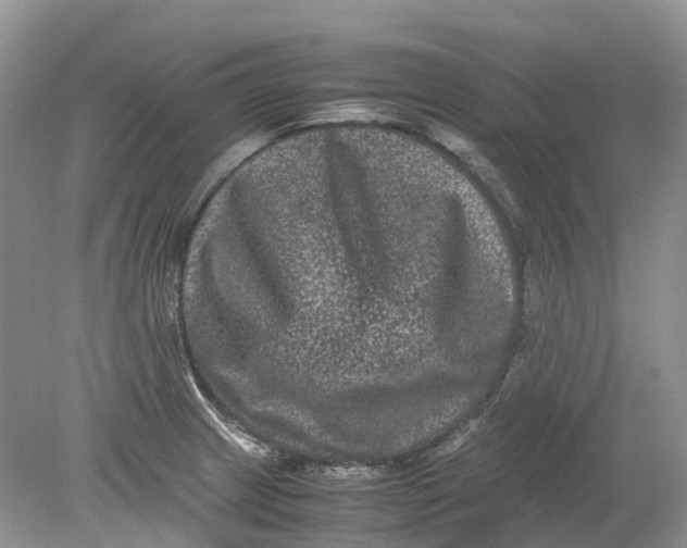 X0000078861233200612041924