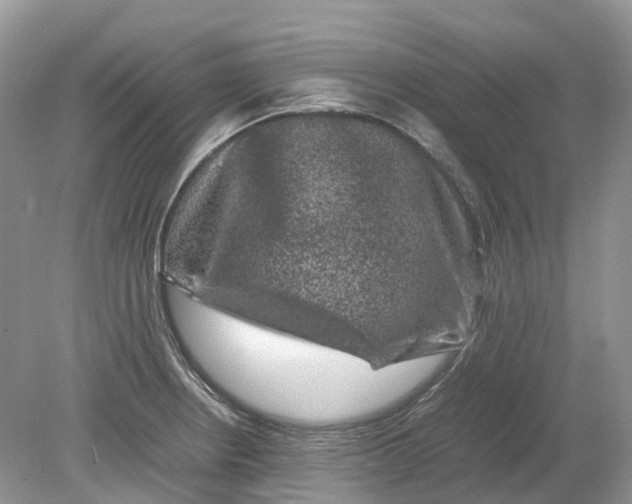 X0000078861234200612041924