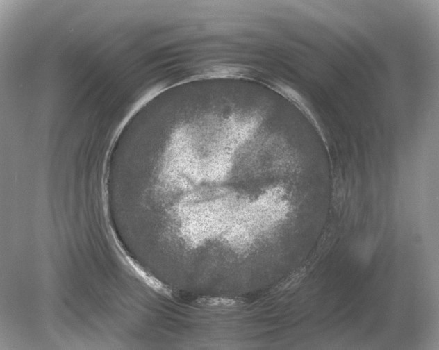 X0000078861235200612041924