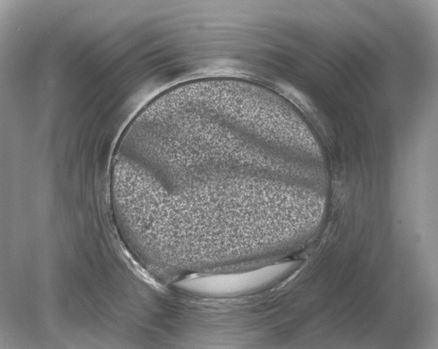 X0000078861236200612041924