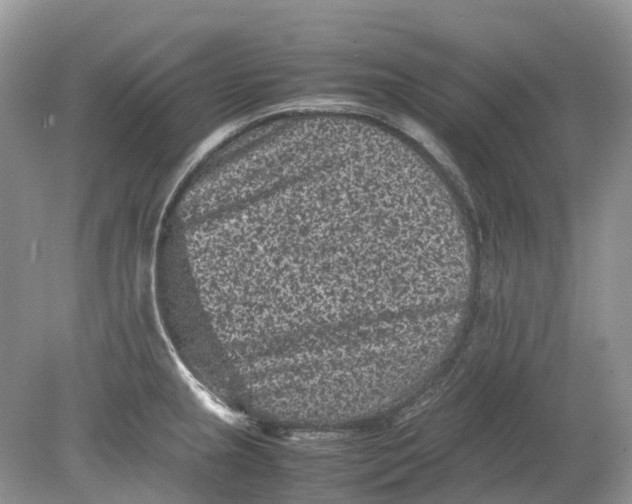 X0000078861237200612041924