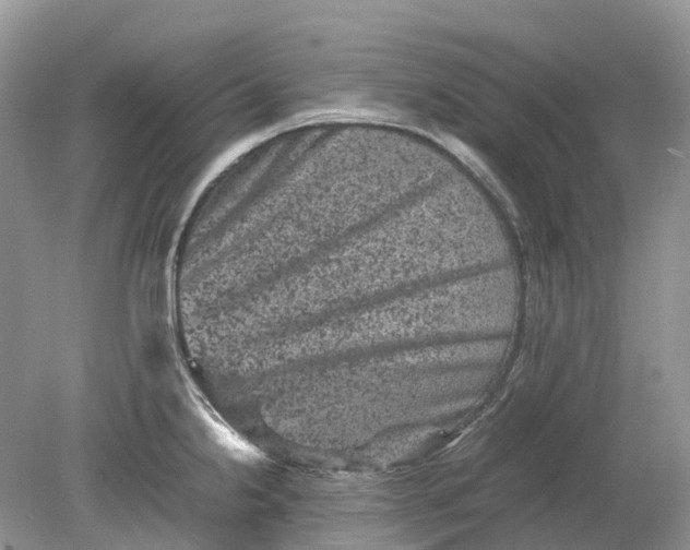 X0000078861238200612041924