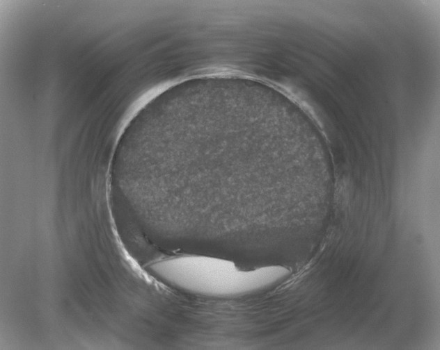 X0000078861239200612041924