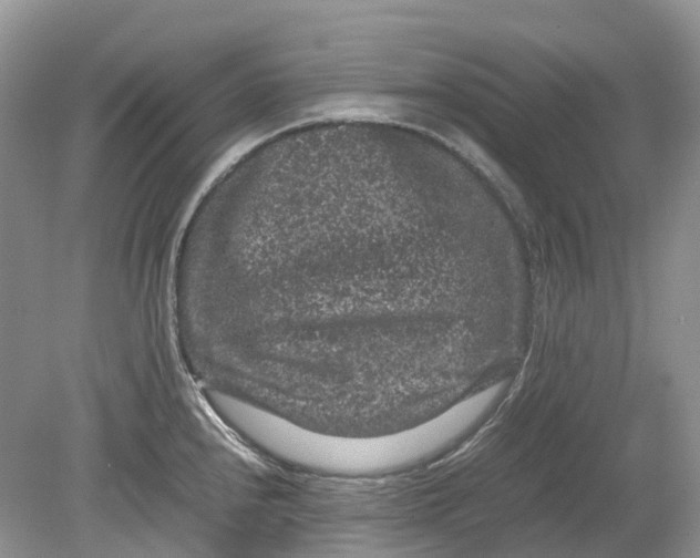 X0000078861240200612041924