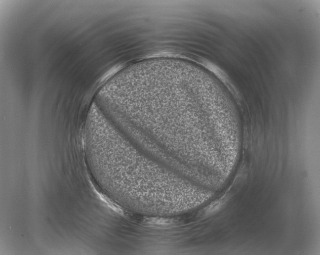 X0000078861241200612041924