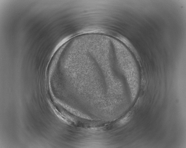 X0000078861242200612041924