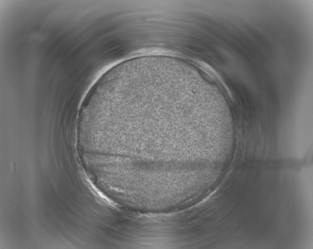 X0000078861244200612041924