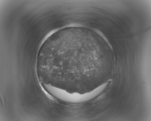 X0000078861245200612041924