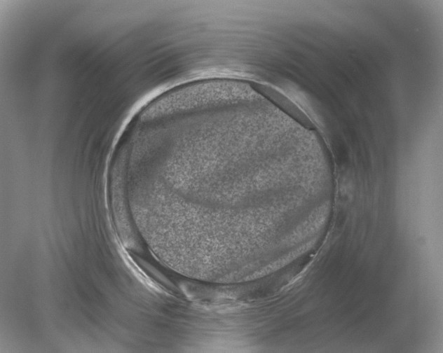 X0000078861246200612041924