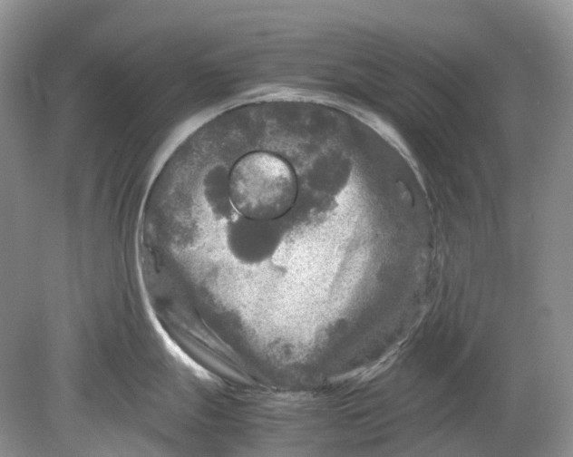 X0000078861247200612041924