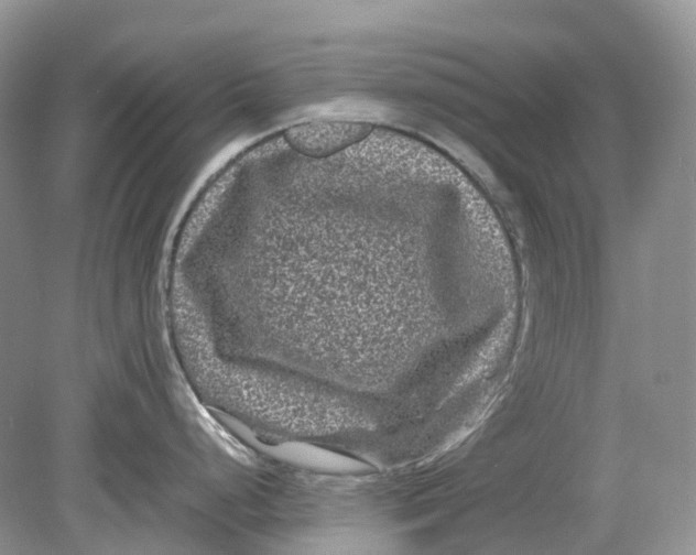 X0000078861248200612041924