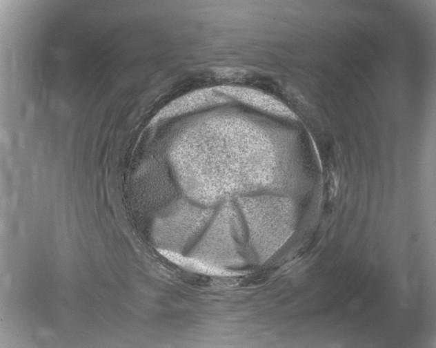 X0000078861249200612041923