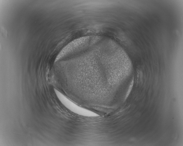 X0000078861250200612041923