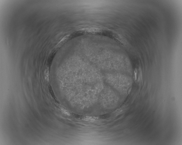 X0000078861251200612041923