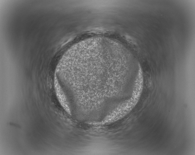 X0000078861253200612041923