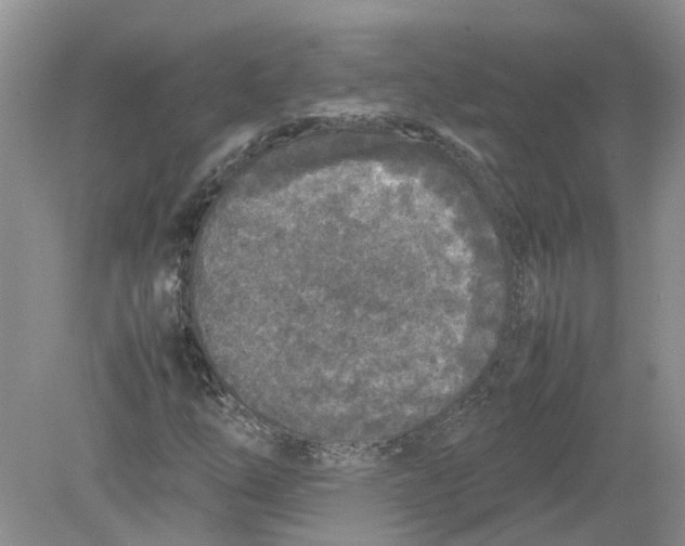 X0000078861254200612041923