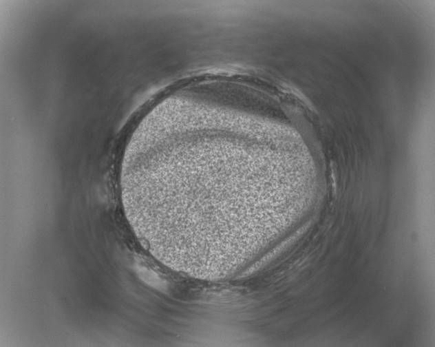 X0000078861256200612041923