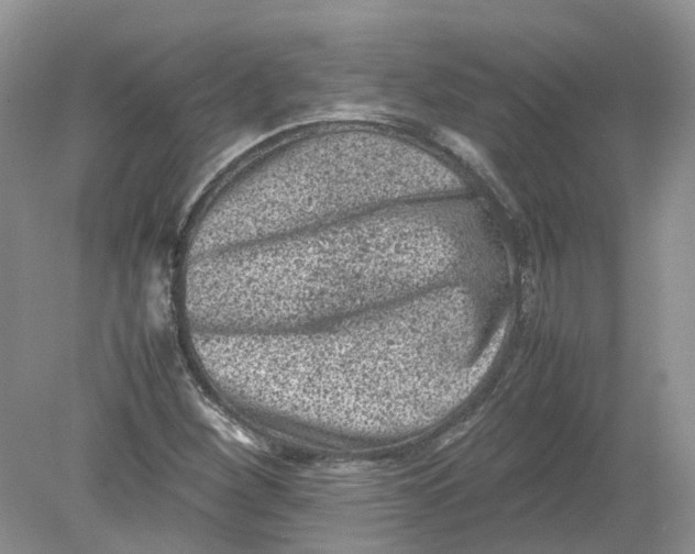 X0000078861260200612041923