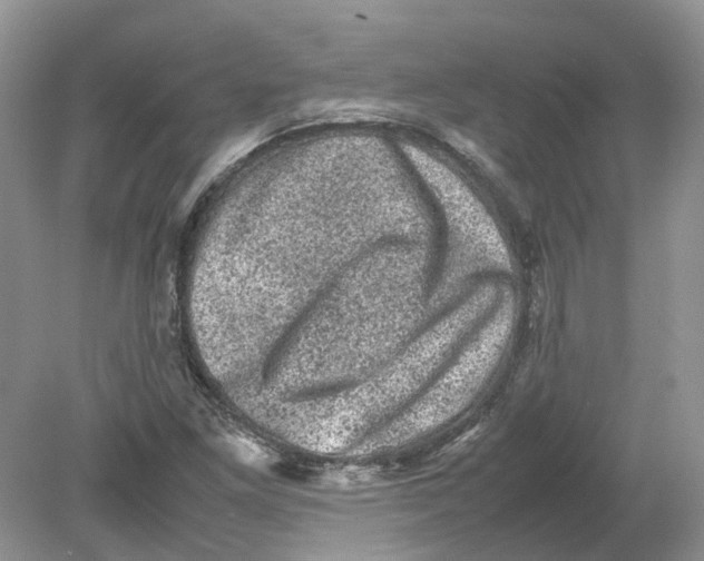 X0000078861261200612041923