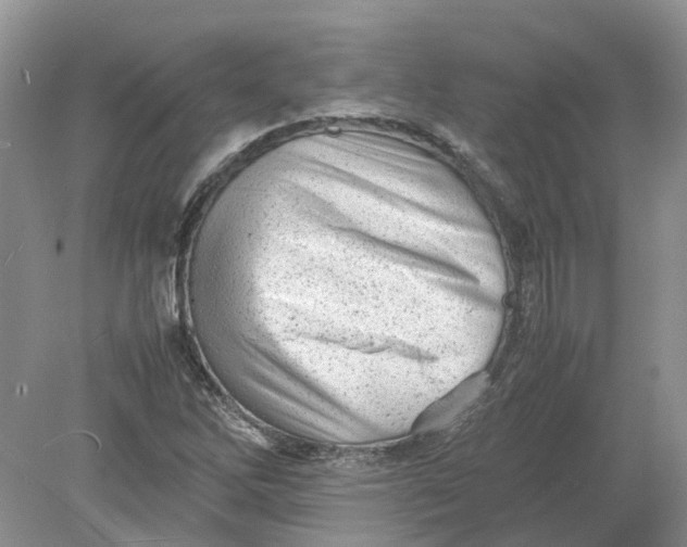 X0000078861262200612041923