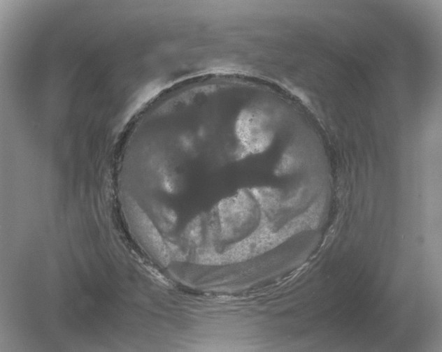 X0000078861263200612041923