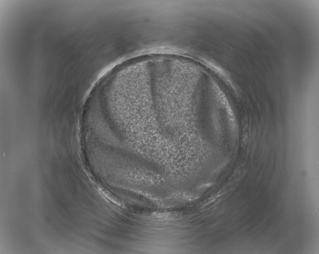 X0000078861264200612041923